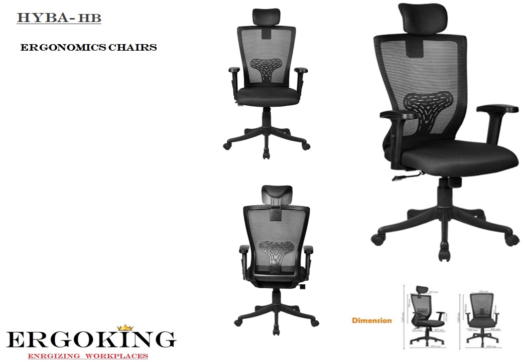 Hyba Office, Corporate, Executive, ergonomic, Chairs by DdecorArch - Ergoking 